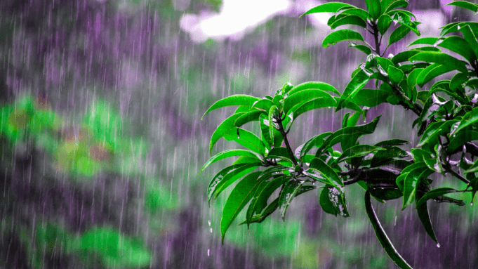 Los sistemas de drenaje son ideales para proteger los cultivos durante la temporada de lluvias en Colombia