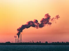 Día de la reducción Co2: ¿cómo cerró el 2024 para el planeta?