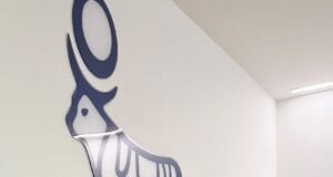 Alexandra Guarín: Nueva Directora Médica de Novo Nordisk para Colombia