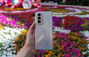 Celebra el Día Mundial de la Vida Silvestre y captura la belleza natural sin distracciones