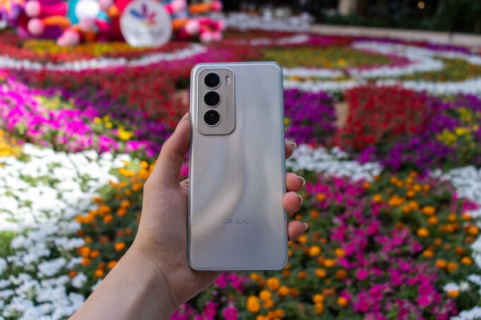 Celebra el Día Mundial de la Vida Silvestre y captura la belleza natural sin distracciones