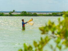 Nueva ruta turística Camarones: experiencia comunitaria que transforma vidas en La Guajira
