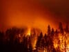 Los incendios forestales y las tormentas severas en Estados Unidos elevan las pérdidas aseguradas globales a 80 mil millones de dólares en el primer semestre de 2025, según estimaciones del Swiss Re Institute.