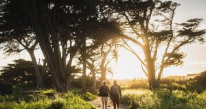 Reforestación en Colombia: así avanzan las empresas con su compromiso sostenible