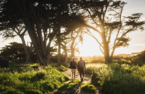 Reforestación en Colombia: así avanzan las empresas con su compromiso sostenible