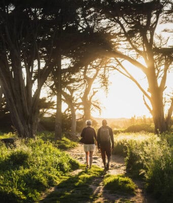 Reforestación en Colombia: así avanzan las empresas con su compromiso sostenible