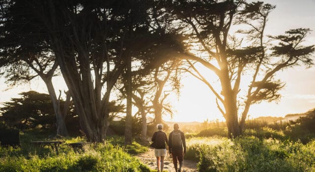 Reforestación en Colombia: así avanzan las empresas con su compromiso sostenible