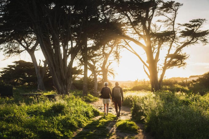 Reforestación en Colombia: así avanzan las empresas con su compromiso sostenible