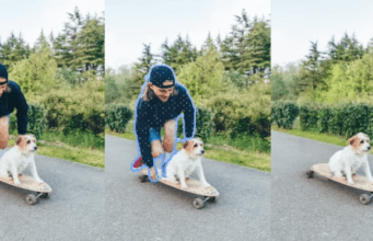 Fotografía, diseño y rendimiento: lo que ofrecen los teléfonos OPPO en Colombia