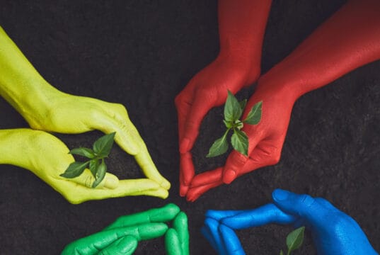 La biodiversidad, un riesgo estratégico aún invisibilizado por las empresas