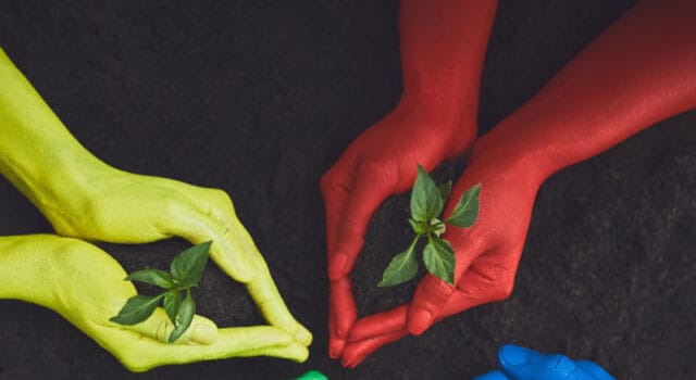 La biodiversidad, un riesgo estratégico aún invisibilizado por las empresas