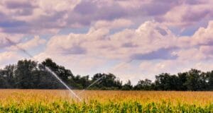 En el Día Mundial del Agua, Colombia avanza hacia prácticas agrícolas que ayudan a usar el agua de manera más eficiente
