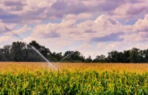 En el Día Mundial del Agua, Colombia avanza hacia prácticas agrícolas que ayudan a usar el agua de manera más eficiente