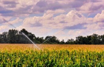 En el Día Mundial del Agua, Colombia avanza hacia prácticas agrícolas que ayudan a usar el agua de manera más eficiente