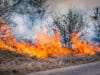 Incendios forestales, tormentas e inundaciones contribuyen al récord del 92% de las pérdidas aseguradas globales en 2025, señala Swiss Re Institute