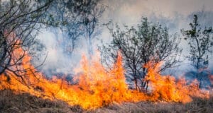 Incendios forestales, tormentas e inundaciones contribuyen al récord del 92% de las pérdidas aseguradas globales en 2025, señala Swiss Re Institute