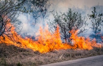 Incendios forestales, tormentas e inundaciones contribuyen al récord del 92% de las pérdidas aseguradas globales en 2025, señala Swiss Re Institute