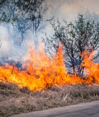 Incendios forestales, tormentas e inundaciones contribuyen al récord del 92% de las pérdidas aseguradas globales en 2025, señala Swiss Re Institute