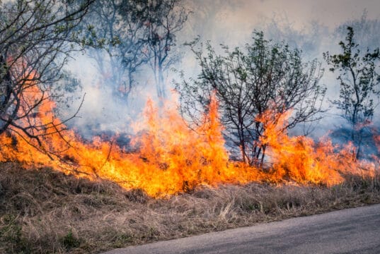 Incendios forestales, tormentas e inundaciones contribuyen al récord del 92% de las pérdidas aseguradas globales en 2025, señala Swiss Re Institute