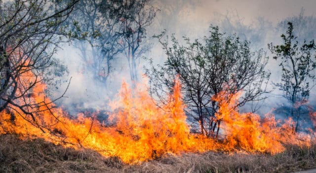 Incendios forestales, tormentas e inundaciones contribuyen al récord del 92% de las pérdidas aseguradas globales en 2025, señala Swiss Re Institute
