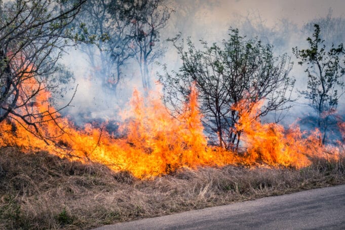 Incendios forestales, tormentas e inundaciones contribuyen al récord del 92% de las pérdidas aseguradas globales en 2025, señala Swiss Re Institute