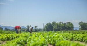 Para 2030, la erosión y los extremos climáticos amenazan la seguridad alimentaria