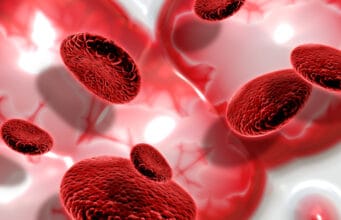 Día Mundial de la Hemofilia 2026: acelerar la ruta de atención es una responsabilidad de todo el sistema