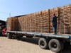 Industria logística recupera hasta 45% de estibas gracias a formación en economía circular