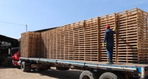 Industria logística recupera hasta 45% de estibas gracias a formación en economía circular