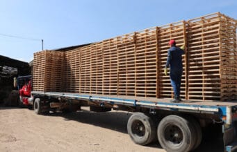 Industria logística recupera hasta 45% de estibas gracias a formación en economía circular
