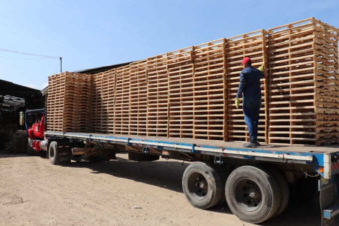 Industria logística recupera hasta 45% de estibas gracias a formación en economía circular