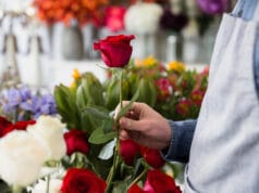 La floricultura colombiana incorpora prácticas de agricultura regenerativa para fortalecer la competitividad exportadora