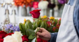 La floricultura colombiana incorpora prácticas de agricultura regenerativa para fortalecer la competitividad exportadora