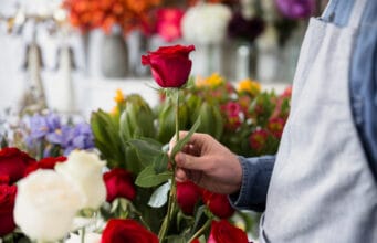 La floricultura colombiana incorpora prácticas de agricultura regenerativa para fortalecer la competitividad exportadora