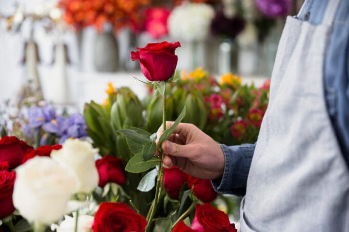 La floricultura colombiana incorpora prácticas de agricultura regenerativa para fortalecer la competitividad exportadora