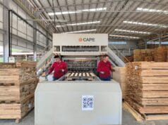 Empleo formal en las regiones: cómo la industria maderera impulsa oportunidades fuera de las capitales