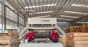 Empleo formal en las regiones: cómo la industria maderera impulsa oportunidades fuera de las capitales