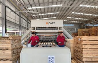 Empleo formal en las regiones: cómo la industria maderera impulsa oportunidades fuera de las capitales