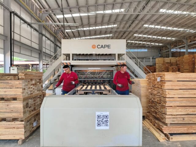 Empleo formal en las regiones: cómo la industria maderera impulsa oportunidades fuera de las capitales