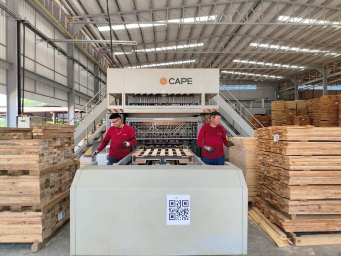 Empleo formal en las regiones: cómo la industria maderera impulsa oportunidades fuera de las capitales