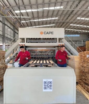 Empleo formal en las regiones: cómo la industria maderera impulsa oportunidades fuera de las capitales