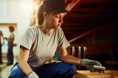Más mujeres, nuevas perspectivas: así está cambiando la industria ferretera en Colombia