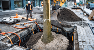 La apuesta por la innovación para hacer espacio a los árboles en las ciudades sin afectar la infraestructura