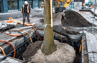 La apuesta por la innovación para hacer espacio a los árboles en las ciudades sin afectar la infraestructura